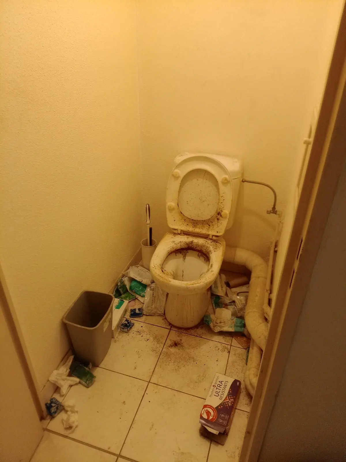 WC avant l'intervention de débarras